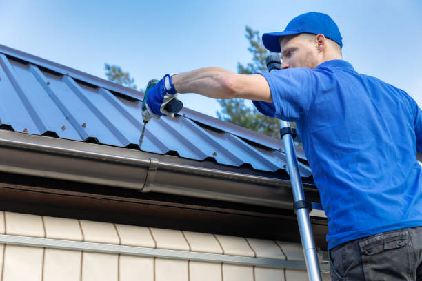 Best Roof Insulation Installation  in Fairbank, IA
