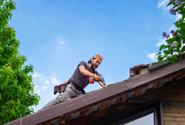 Best Sheet Metal Roofing  in Fairbank, IA